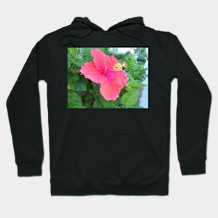 Flower Hoodie